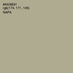 #AEAB91 - Napa Color Image