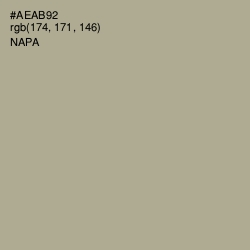 #AEAB92 - Napa Color Image