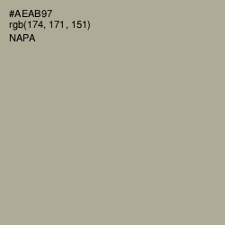 #AEAB97 - Napa Color Image