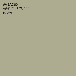 #AEAC90 - Napa Color Image