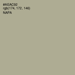 #AEAC92 - Napa Color Image