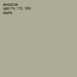 #AEAC96 - Napa Color Image