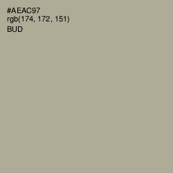 #AEAC97 - Bud Color Image