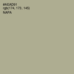 #AEAD91 - Napa Color Image