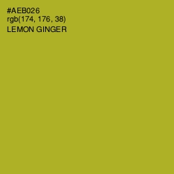 #AEB026 - Lemon Ginger Color Image