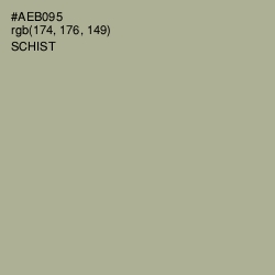 #AEB095 - Schist Color Image