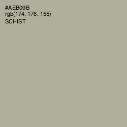 #AEB09B - Schist Color Image