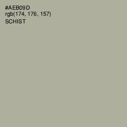 #AEB09D - Schist Color Image