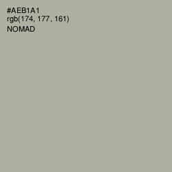 #AEB1A1 - Nomad Color Image