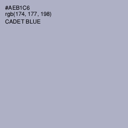 #AEB1C6 - Cadet Blue Color Image