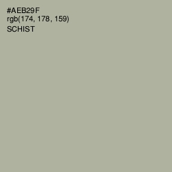 #AEB29F - Schist Color Image