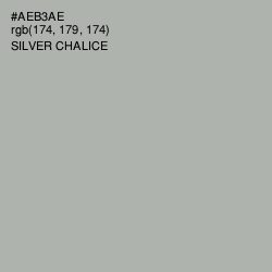 #AEB3AE - Silver Chalice Color Image