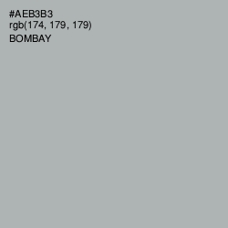 #AEB3B3 - Bombay Color Image