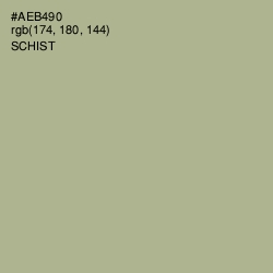 #AEB490 - Schist Color Image