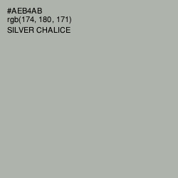 #AEB4AB - Silver Chalice Color Image