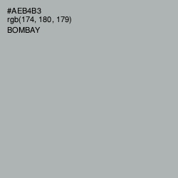 #AEB4B3 - Bombay Color Image