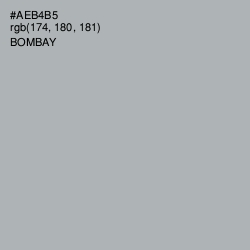 #AEB4B5 - Bombay Color Image