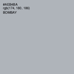 #AEB4BA - Bombay Color Image