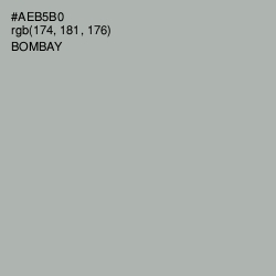 #AEB5B0 - Bombay Color Image