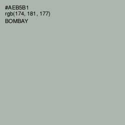 #AEB5B1 - Bombay Color Image