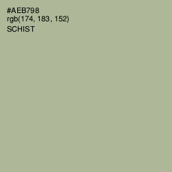 #AEB798 - Schist Color Image