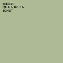 #AEB993 - Schist Color Image