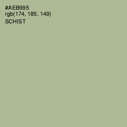 #AEB995 - Schist Color Image