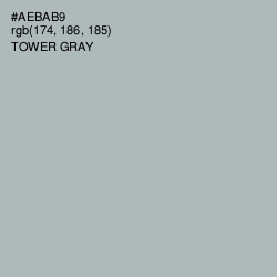 #AEBAB9 - Tower Gray Color Image