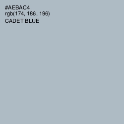 #AEBAC4 - Cadet Blue Color Image