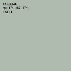 #AEBBAE - Eagle Color Image