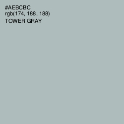 #AEBCBC - Tower Gray Color Image