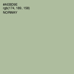 #AEBD9E - Norway Color Image