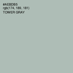 #AEBDB5 - Tower Gray Color Image