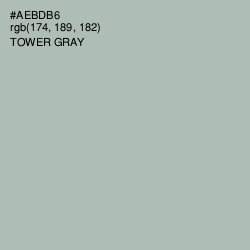 #AEBDB6 - Tower Gray Color Image
