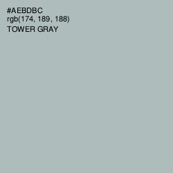 #AEBDBC - Tower Gray Color Image