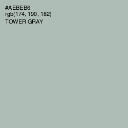 #AEBEB6 - Tower Gray Color Image