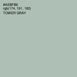 #AEBFB6 - Tower Gray Color Image