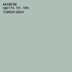#AEBFB8 - Tower Gray Color Image