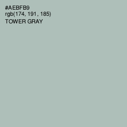 #AEBFB9 - Tower Gray Color Image