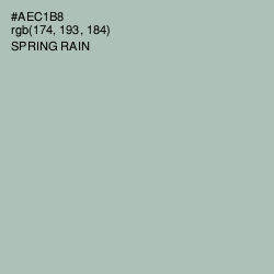 #AEC1B8 - Spring Rain Color Image