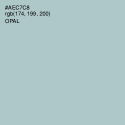 #AEC7C8 - Opal Color Image