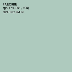 #AEC9BE - Spring Rain Color Image