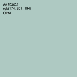 #AEC9C2 - Opal Color Image