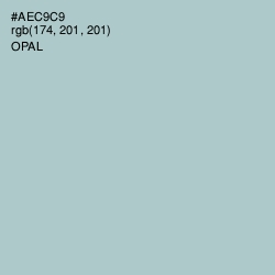 #AEC9C9 - Opal Color Image