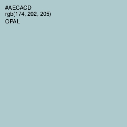 #AECACD - Opal Color Image