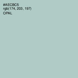 #AECBC5 - Opal Color Image