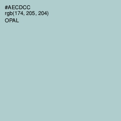 #AECDCC - Opal Color Image