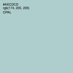 #AECDCD - Opal Color Image