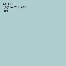 #AECDCF - Opal Color Image