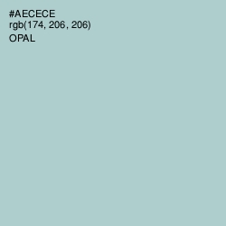 #AECECE - Opal Color Image